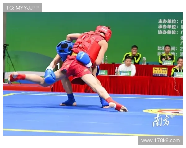 2026年武林风比赛精彩视频回顾与分析