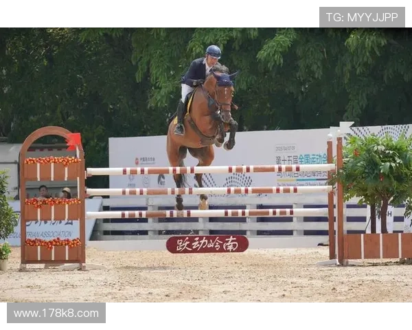 2026年马术比赛精彩瞬间视频回顾与分析